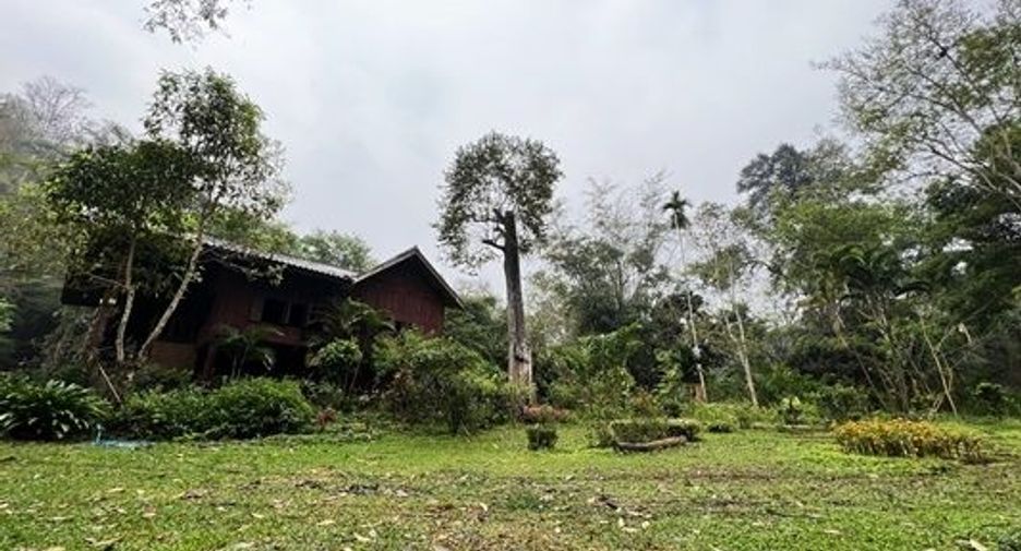 ขาย ที่ดิน ใน เชียงดาว, เชียงใหม่