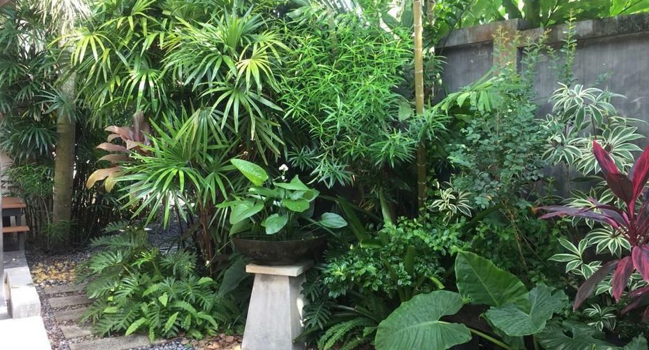 For rent 4 bedrooms villa in Thalang, Phuket