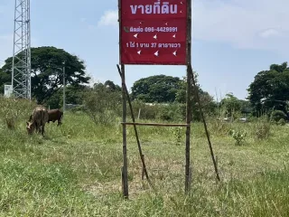 Terreno en venta en Pa Mok, Ang Thong