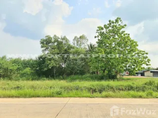 ขาย ที่ดิน ใน หนองใหญ่, ชลบุรี