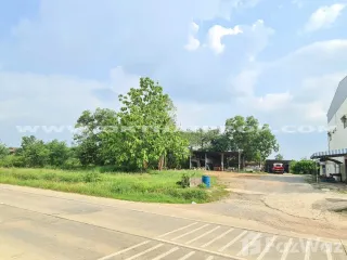 ขาย ที่ดิน ใน หนองใหญ่, ชลบุรี