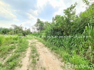 ขาย ที่ดิน ใน หนองใหญ่, ชลบุรี