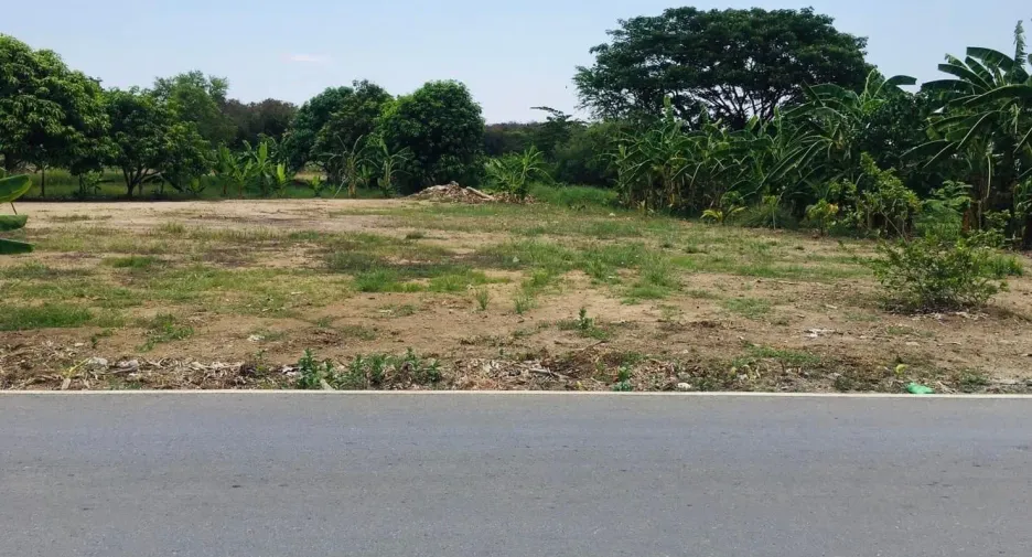 À vendre terrain à Nakhon Chai Si, Nakhon Pathom