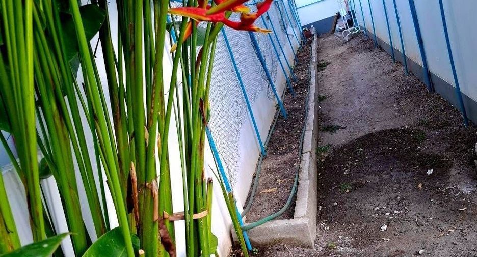 For rent 2 bedrooms townhouse in Mueang Phuket, Phuket