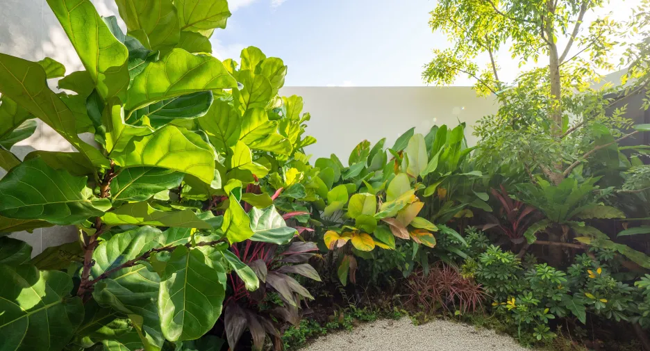 For sale 4 bedrooms villa in Kathu, Phuket