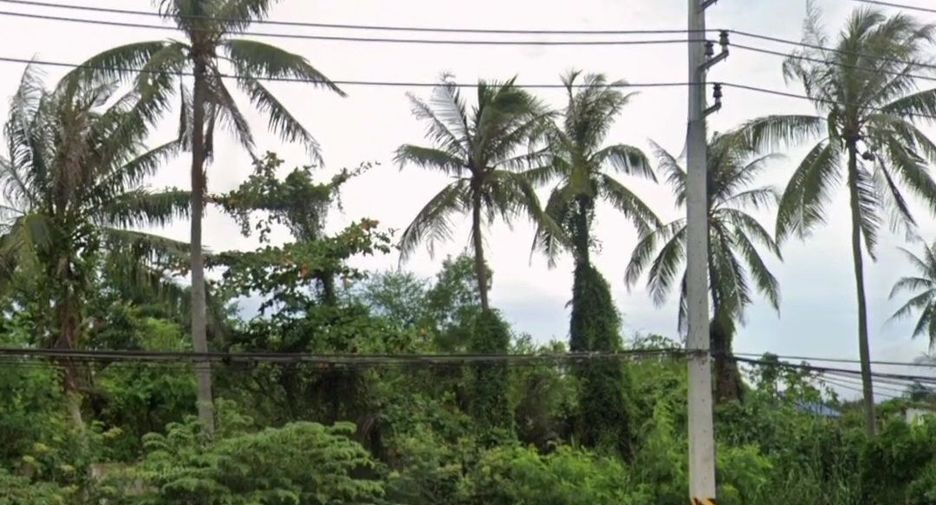 For sale land in Mueang Chumphon, Chumphon
