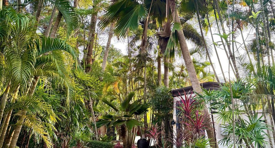 Villa zum Kauf und zur Miete mit 4 Zimmer in Thalang, Phuket