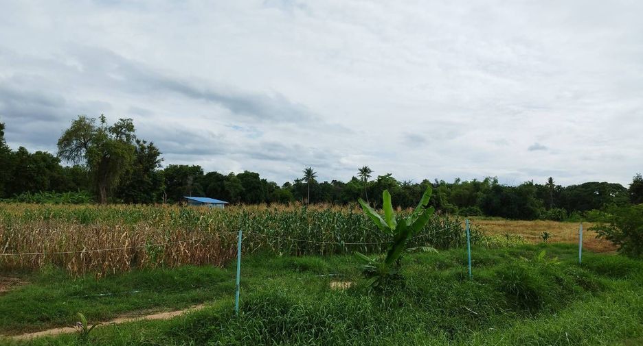 For sale land in Doem Bang Nang Buat, Suphan Buri