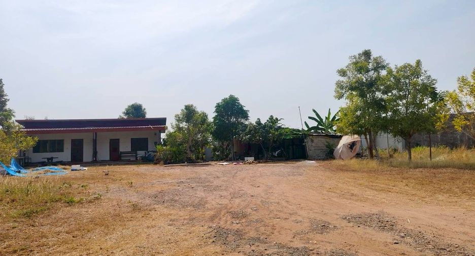 For sale land in Lom Sak, Phetchabun