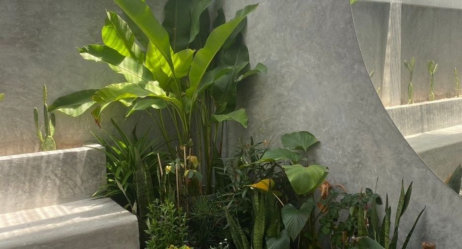 For sale 3 bedrooms retail Space in Mueang Phuket, Phuket
