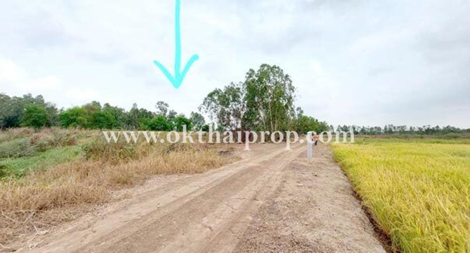 For sale land in Bang Sai, Phra Nakhon Si Ayutthaya