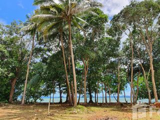 For sale land in Mueang Krabi, Krabi