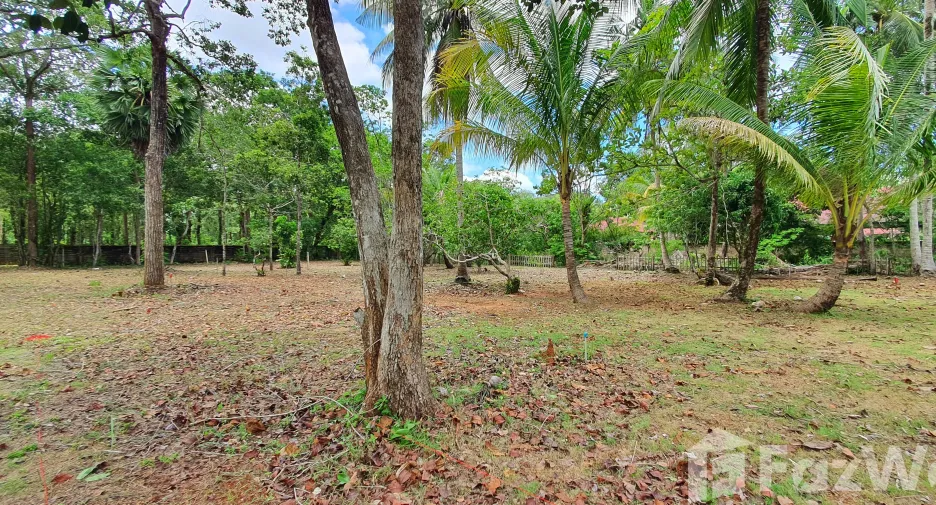 For sale land in Mueang Krabi, Krabi