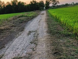 For sale land in Ongkharak, Nakhon Nayok