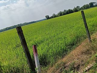 For sale land in Ongkharak, Nakhon Nayok