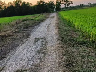 For sale land in Ongkharak, Nakhon Nayok