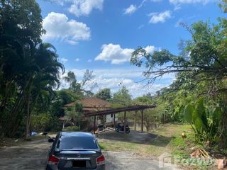 For sale land in Kathu, Phuket