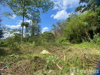 For sale land in Kathu, Phuket