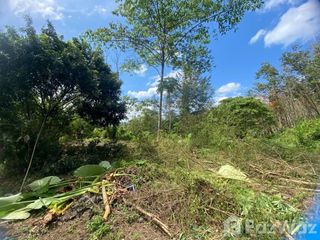 For sale land in Kathu, Phuket