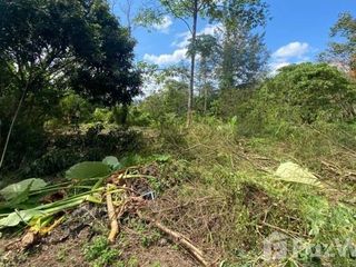 For sale land in Kathu, Phuket