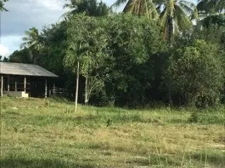 出售 土地 在 Tha Yang, Phetchaburi