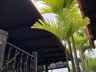 For rent 2 bedrooms villa in Thalang, Phuket