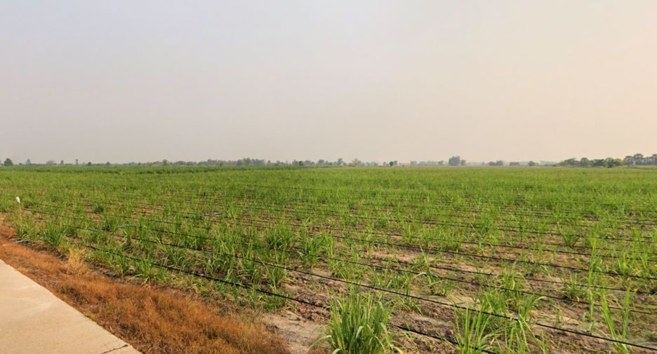 Продажа Участок в Mueang Kamphaeng Phet, Кампхэнгпхет