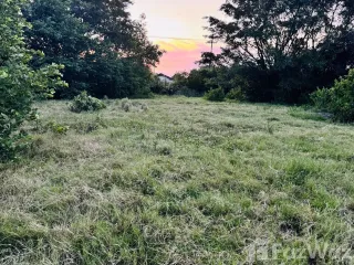 For sale land in Hua Sai, Nakhon Si Thammarat