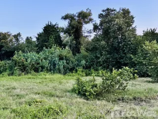 For sale land in Hua Sai, Nakhon Si Thammarat