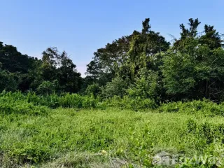 For sale land in Hua Sai, Nakhon Si Thammarat