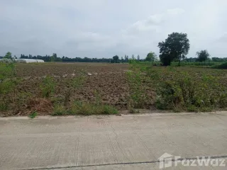 For sale land in Nong Ya Sai, Suphan Buri