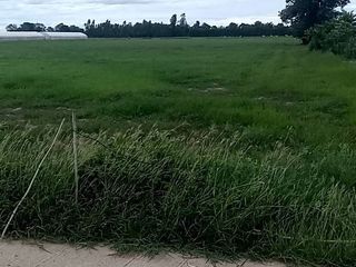 For sale land in Nong Ya Sai, Suphan Buri
