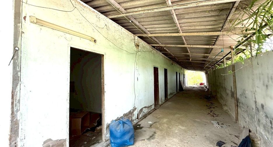出售 和 出租 公寓 独立屋 在 Phan Thong, Chon Buri