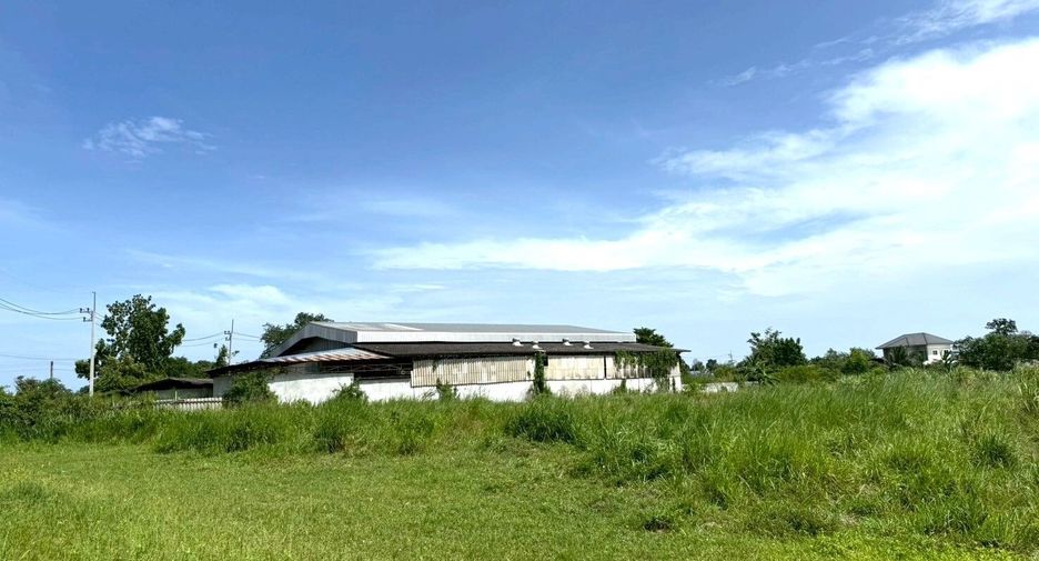 出售 和 出租 公寓 独立屋 在 Phan Thong, Chon Buri