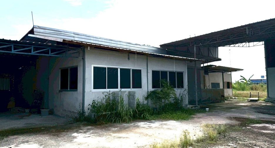 出售 和 出租 公寓 独立屋 在 Phan Thong, Chon Buri
