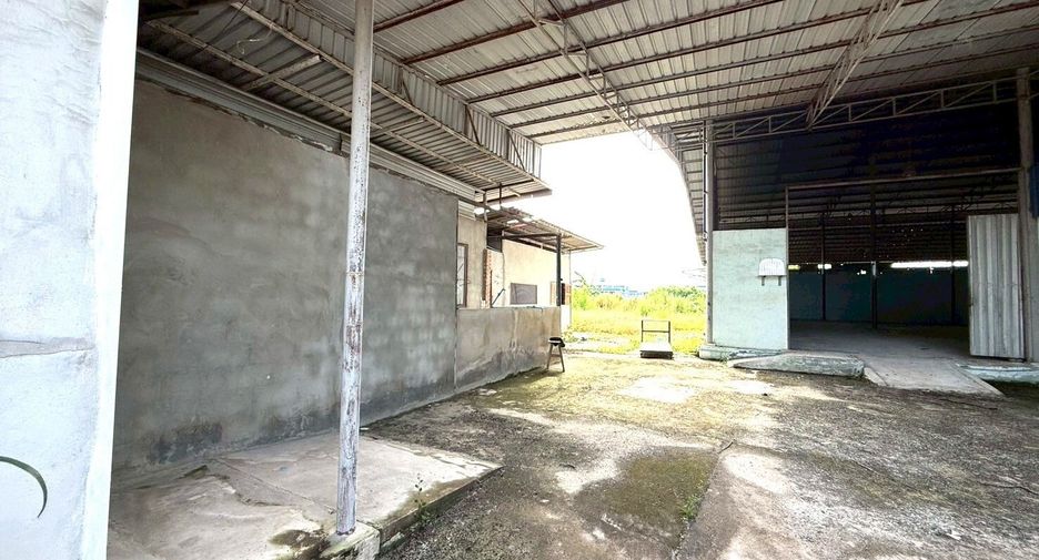 出售 和 出租 公寓 独立屋 在 Phan Thong, Chon Buri