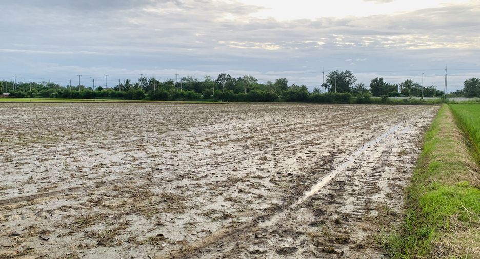 For sale land in Nong Chang, Uthai Thani