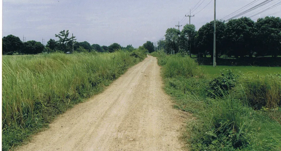 For sale land in Mueang Sing Buri, Sing Buri