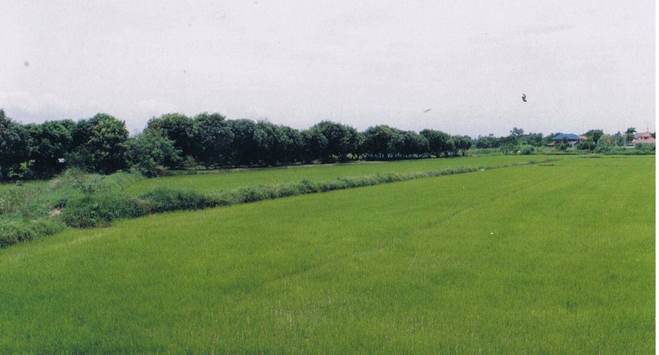 出售 土地 在 Mueang Sing Buri, Sing Buri
