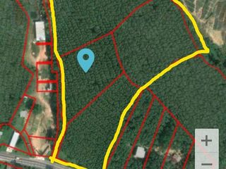 For sale land in Thalang, Phuket