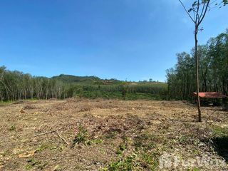 For sale land in Thalang, Phuket