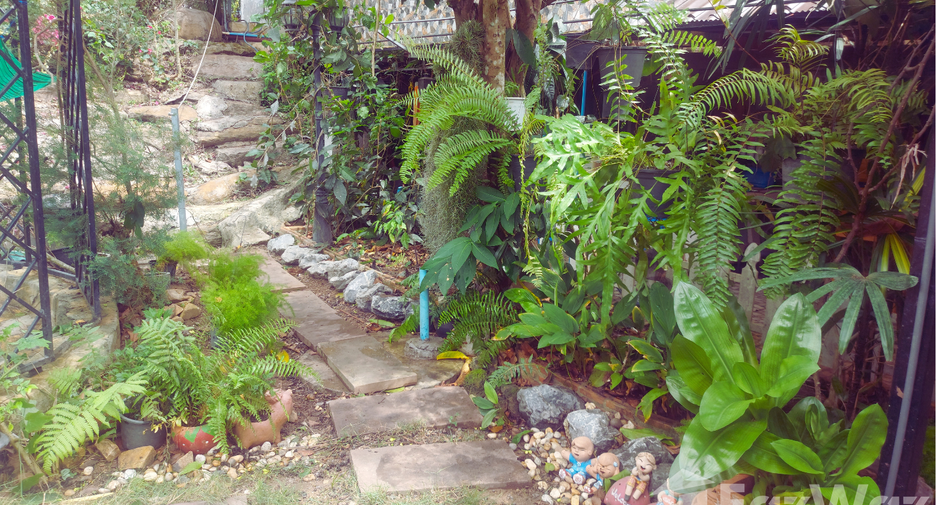 For sale 4 bedrooms house in Wang Nam Khiao, Nakhon Ratchasima