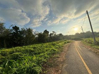 For sale land in Thalang, Phuket