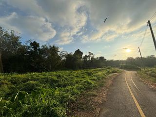 For sale land in Thalang, Phuket