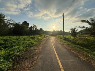 For sale land in Thalang, Phuket