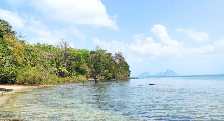 Terreno en venta en Kantang, Trang