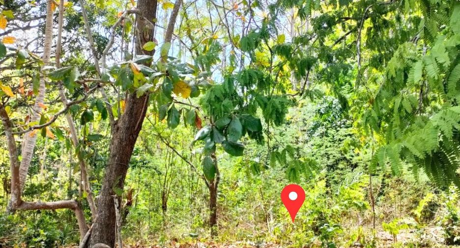 Terreno en venta en Kantang, Trang