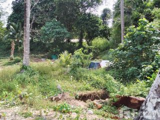 Grundstück zum Kauf in Mueang Phuket, Phuket