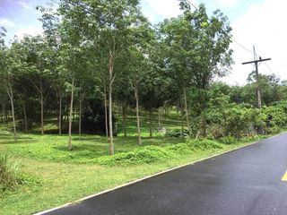 Grundstück zum Kauf in Thalang, Phuket