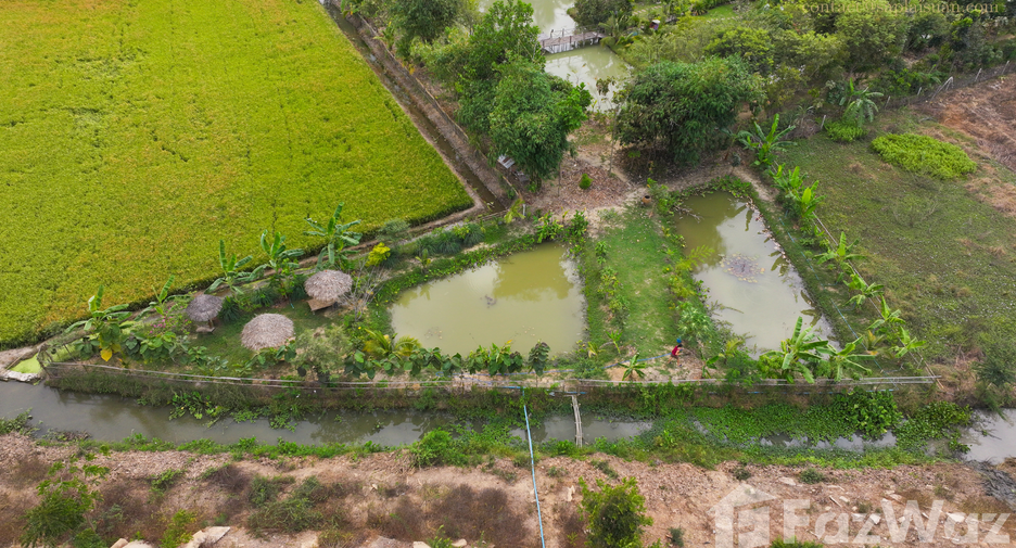 For sale land in U Thong, Suphan Buri